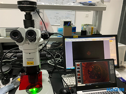 顯微鏡相機(jī)