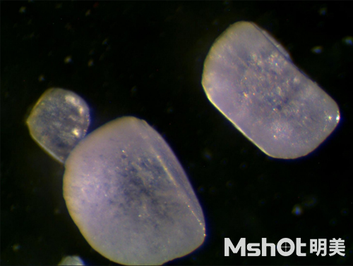 不同顯微鏡下的食鹽