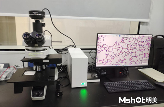 數(shù)字切片掃描儀應(yīng)用于病理學(xué)