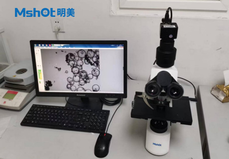 石墨烯用什么顯微鏡觀察？