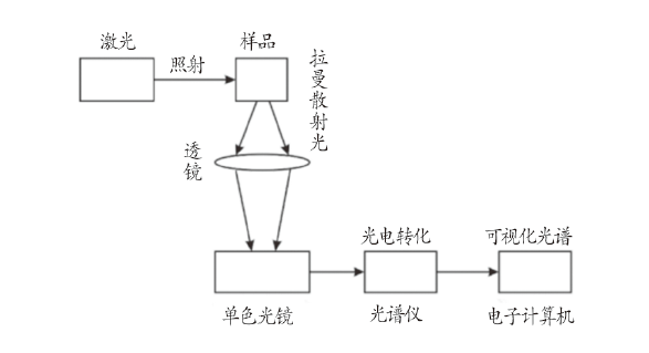 便攜式光纖拉曼胃癌檢測儀的研發(fā)和應用